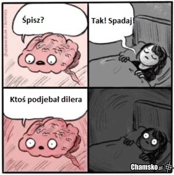 Myśli przed snem...