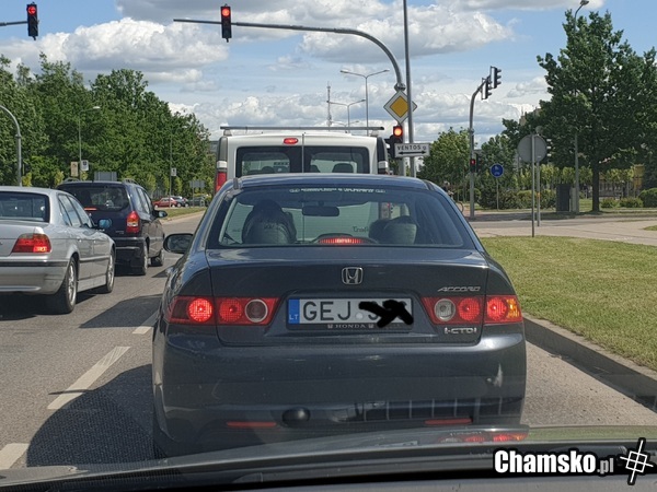 Hondziarz ;)
