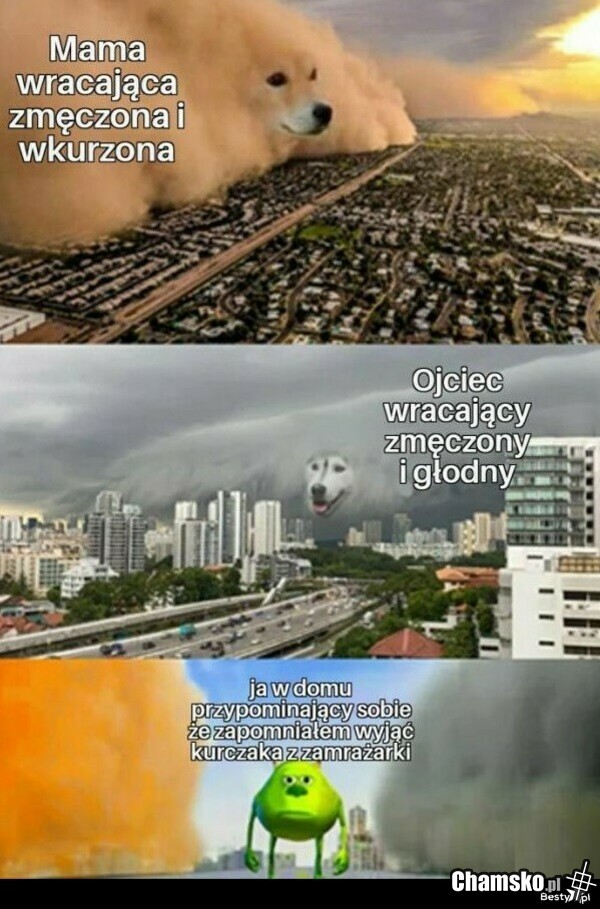 Powrót rodziców