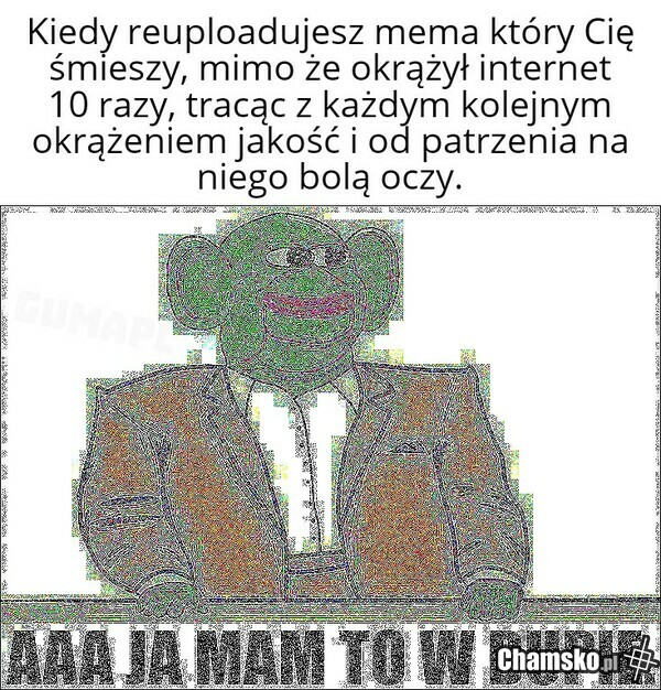 Admina biją w domu kielbasa śląską