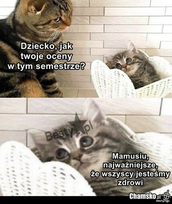 Zdrowie najważniejsze