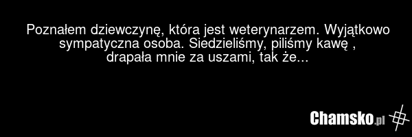 Poznałem dziewczynę, która jest weterynarzem. Wyjątkowo sympatyczna osoba. Siedzieliśmy, piliśmy kawę , drapała mnie za uszami, tak że...