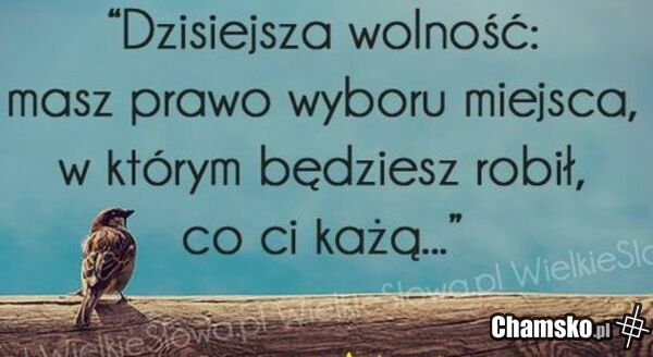 wolność