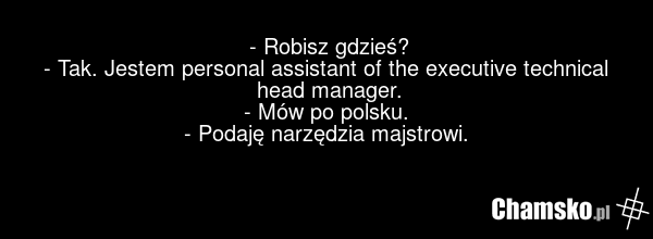 - Robisz gdzieś? - Tak. Jestem personal assistant of the executive technical head manager. - Mów po polsku. - Podaję narzędzia majstrowi.