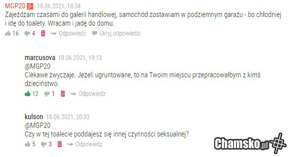 Miłośnik galerii