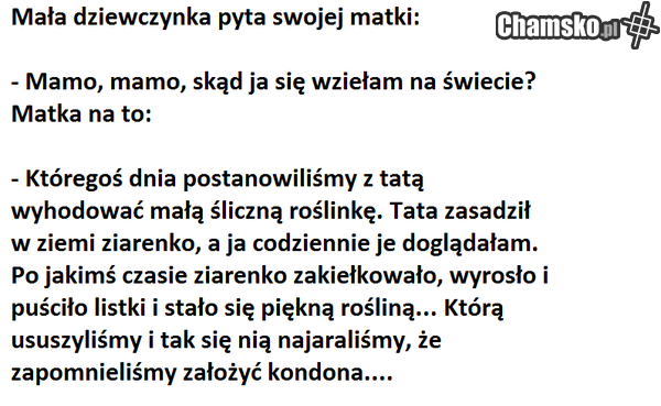 twoja córka