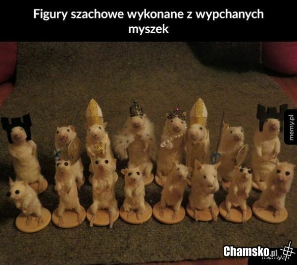 Szachy