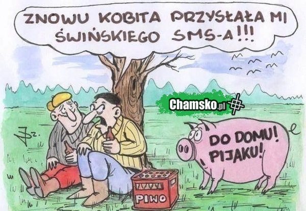 Świńskie sms