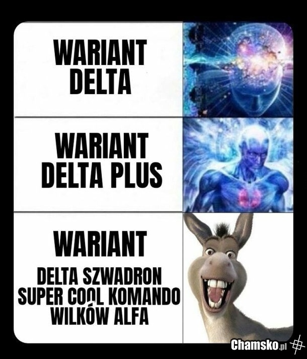 Covid wariant