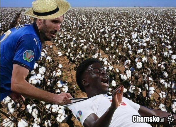 Powrót do pracy