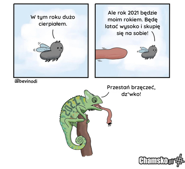 Kradzione ale jakie to prawdziwe…
