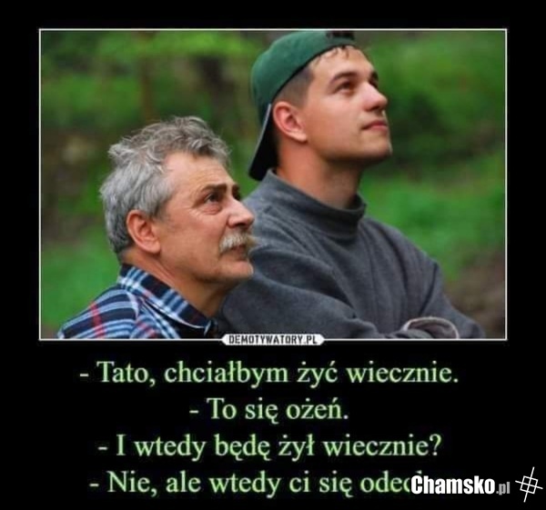 Niesmiertelnosc