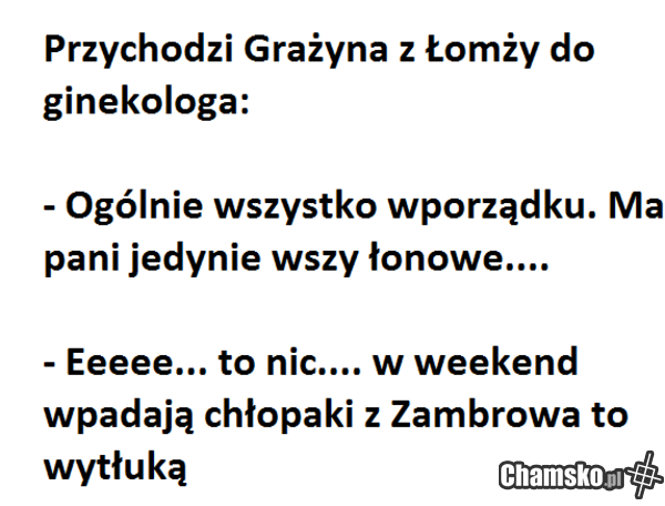 Przygody Grażyny z Łomży cz. V