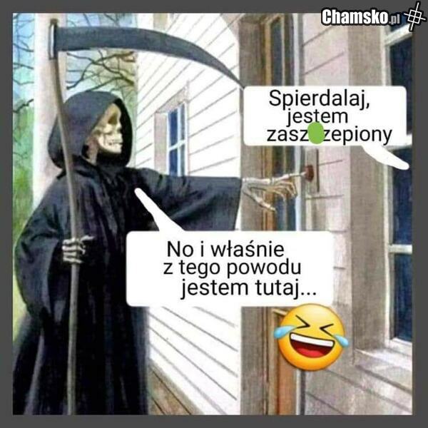 koronawirus cz. XIV
