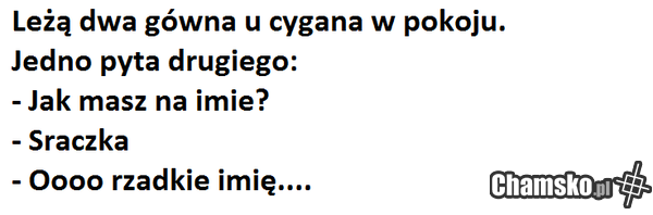 za ten suchar dam ci puchar