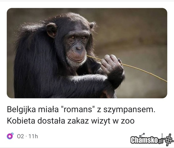 Stara admina i mokebe