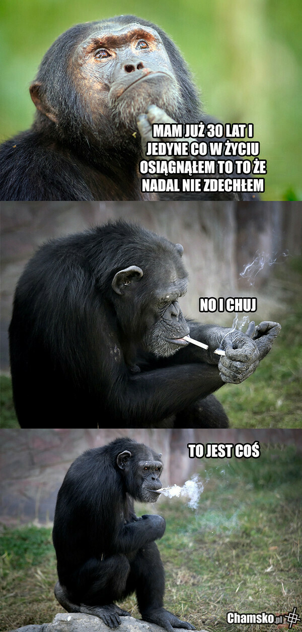Moje dokonania