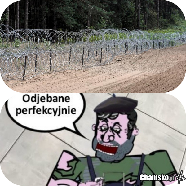 Rządowy inżynier