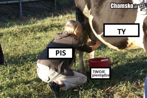Yebać PiS