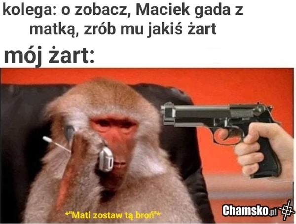 Żartowniś