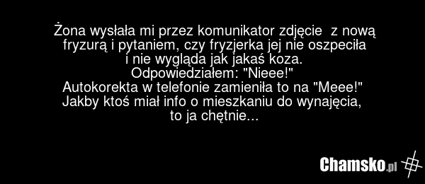 Żona wysłała mi przez komunikator zdjęcie z nową fryzurą i pytaniem, czy fryzjerka jej nie oszpeciła i nie wygląda jak jakaś koza. Odpowiedziałem: "Nieee!" Autokorekta w telefonie zamieniła to na "Meee!" Jakby ktoś miał info o mieszkaniu do wynajęcia, to ja chętnie...