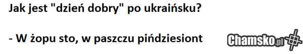 jebane ukraińce
