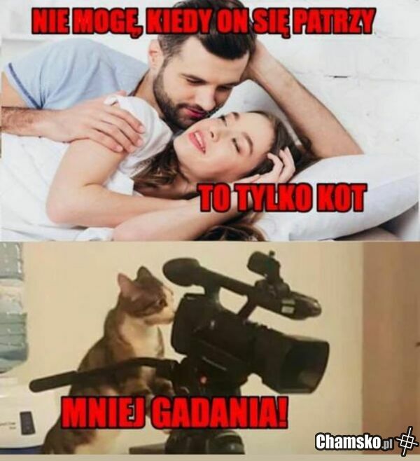 więcej ruchania!