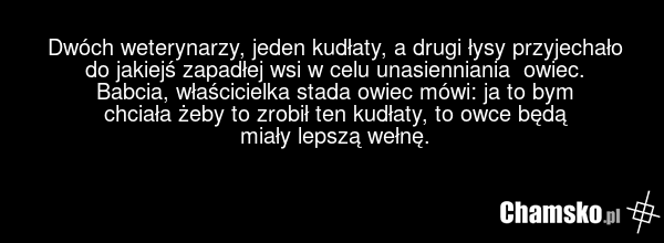 Dwóch weterynarzy, jeden kudłaty, a drugi łysy przyjechało do jakiejś zapadłej wsi w celu unasienniania owiec. Babcia, właścicielka stada owiec mówi: ja to bym chciała żeby to zrobił ten kudłaty, to owce będą miały lepszą wełnę.
