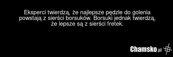 Eksperci twierdzą, że najlepsze pędzle do golenia powstają z sierści borsuków. Borsuki jednak twierdzą, że lepsze są z sierści fretek.