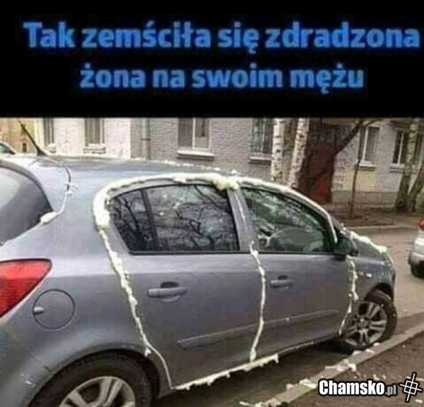 Zemsta