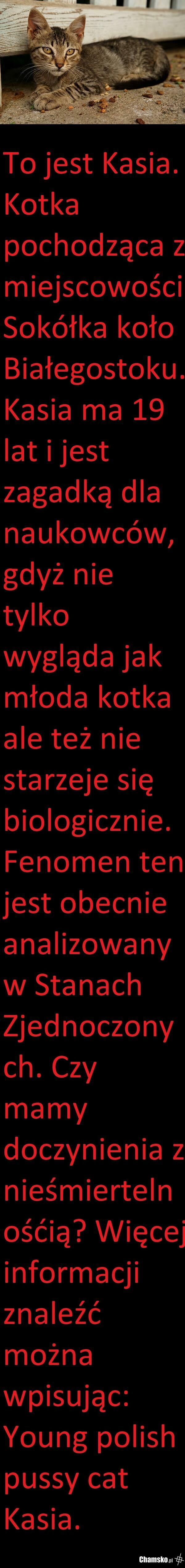 Fascynujące