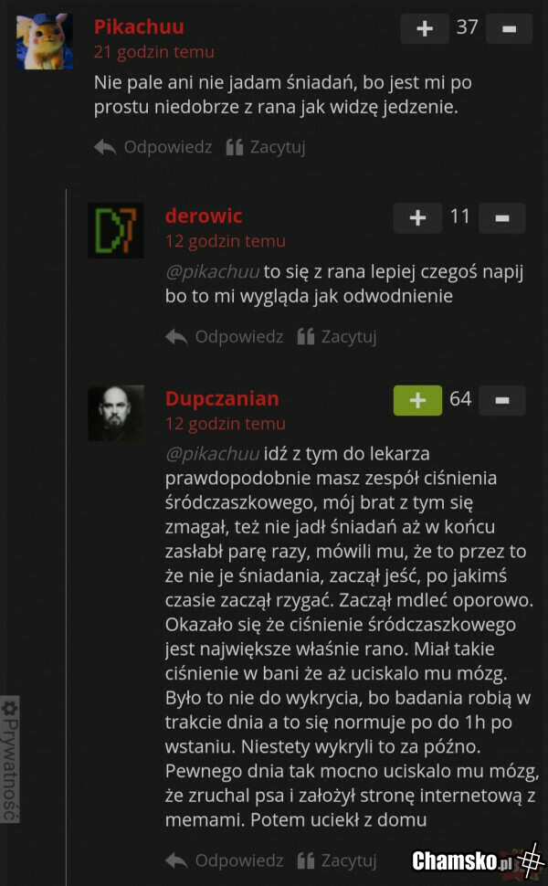 Chamsko.pl geneza