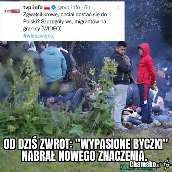 Spurek musiało mózg roz@bać to info...