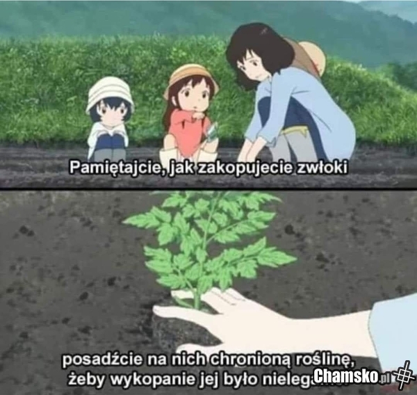 Life hack