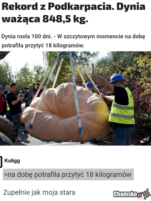 Twoja Stara