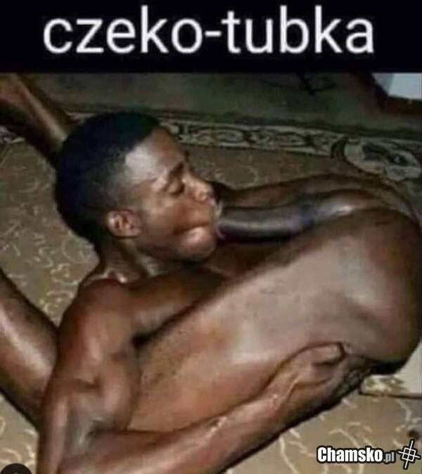 Czekotubka :D