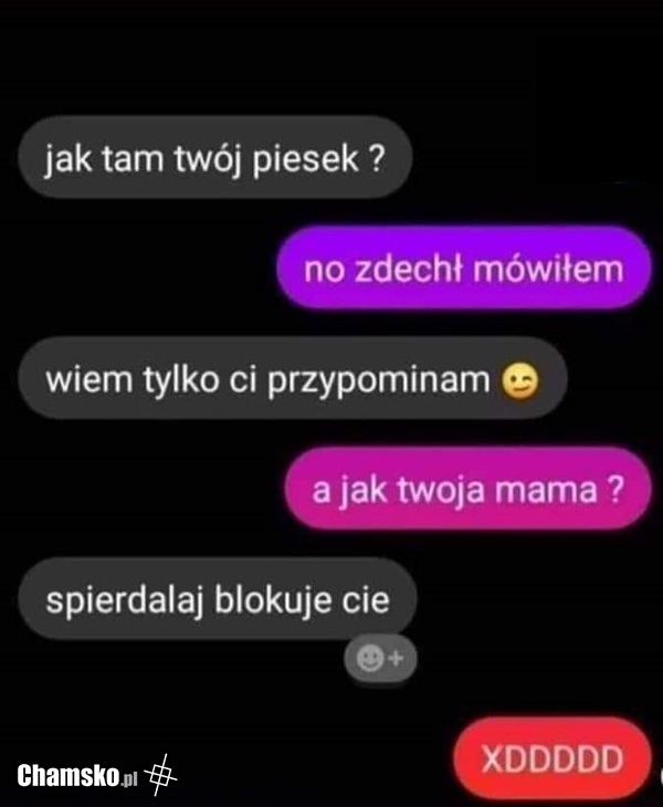 Ciekawa rozmowa