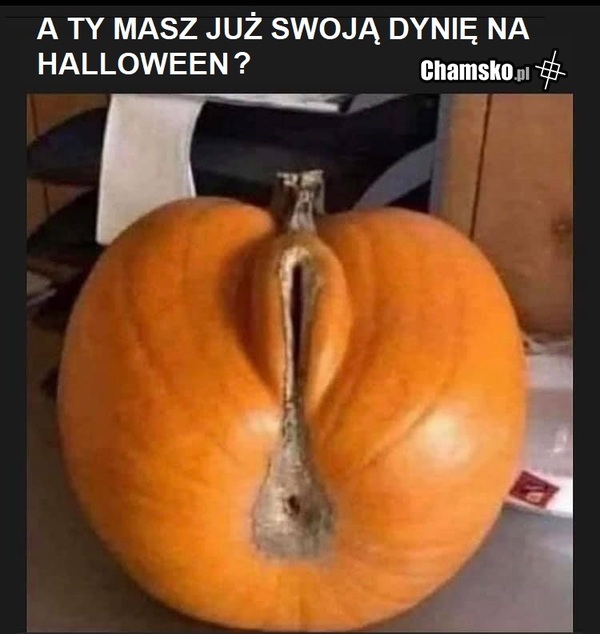 Dynia