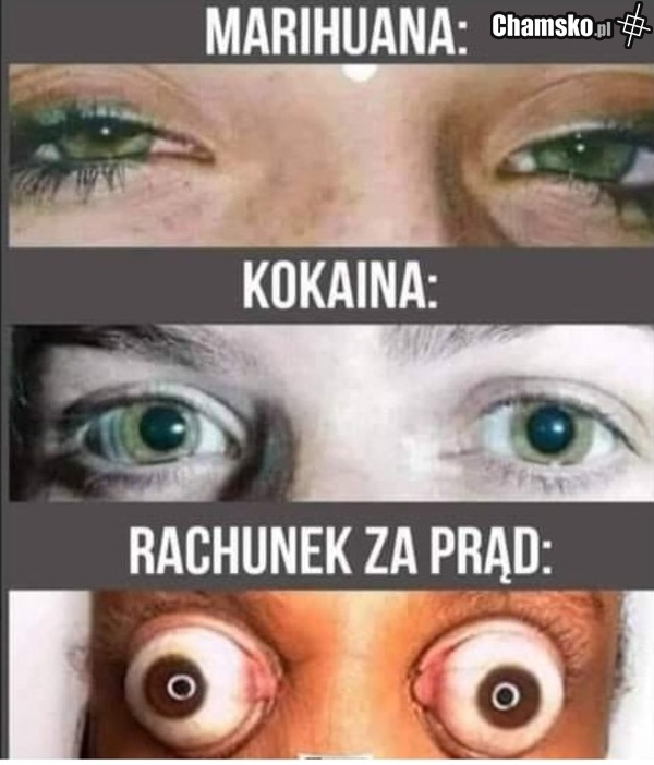 jebać kczyńskiego!
