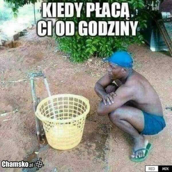 Mistrz :-)
