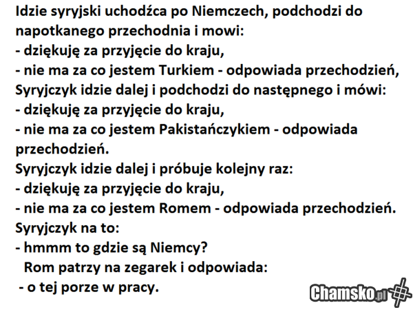 sznela sznela