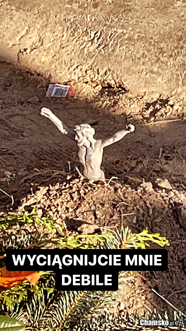 Wyciągnijcie mnie