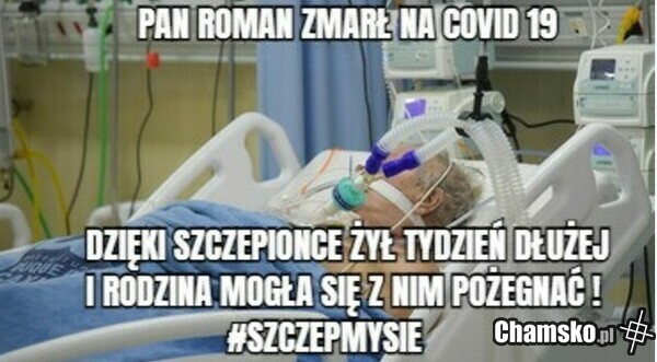 Szczepmysie