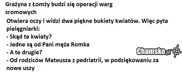 Przygody Grażyny z Łomży cz. IX