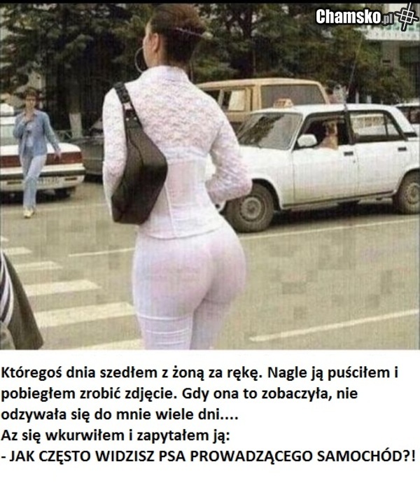 MOJA DUPA
