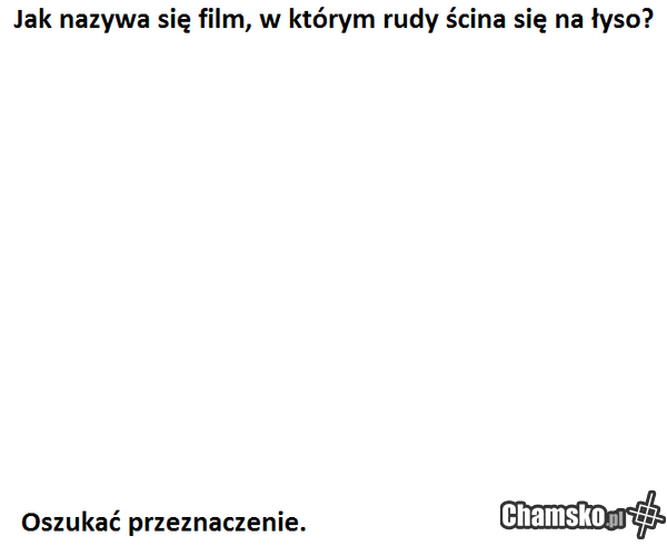 ADMIN JEST JUŻ ŁYSY