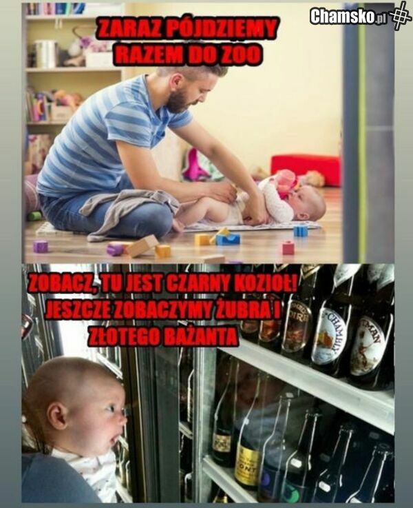 to ja