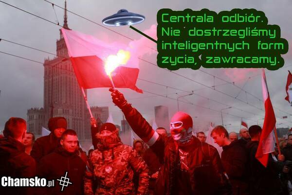 Marsz zwierząt.