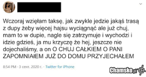 FAKE TAXI