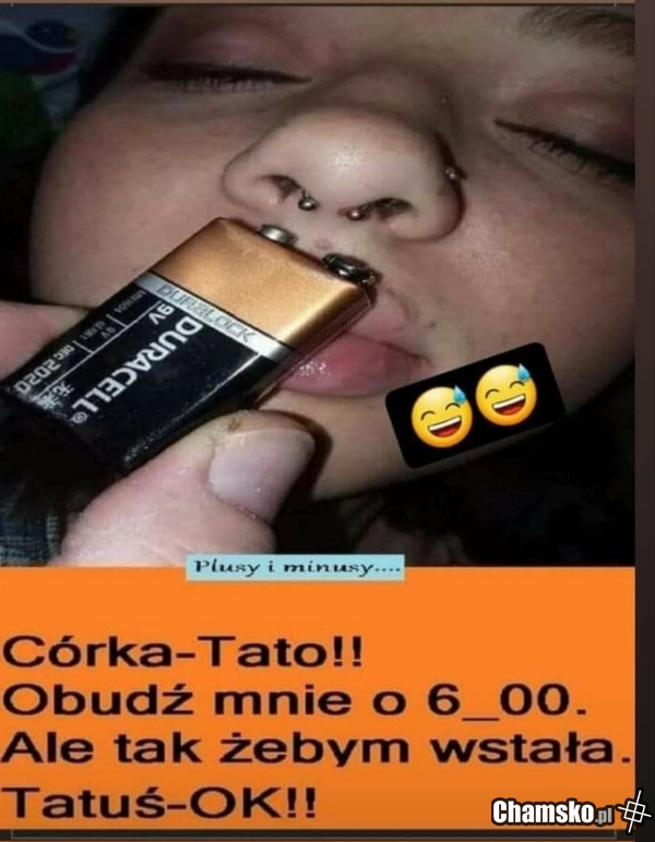 Pobudka